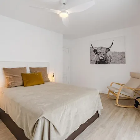 With Aircon Puerto de Santiago